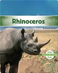 Rhinoceros