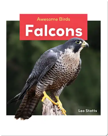 Falcons book