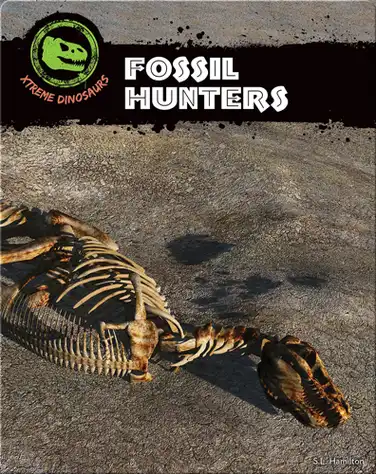 Fossils Hunters book