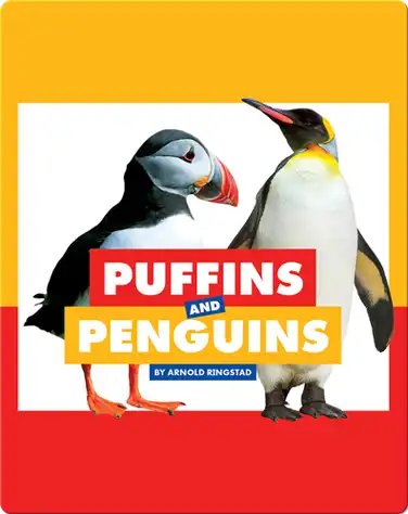 Comparing Animal Differences: Puffins and Penguins book