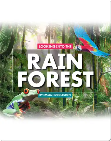 Looking at Layers: Looking Into the Rain Forest book