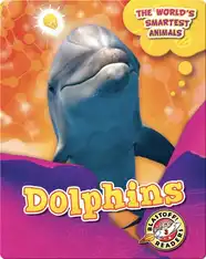 The World's Smartest Animals: Dolphins