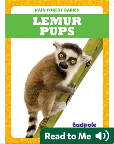 Rain Forest Babies: Lemur Pups book