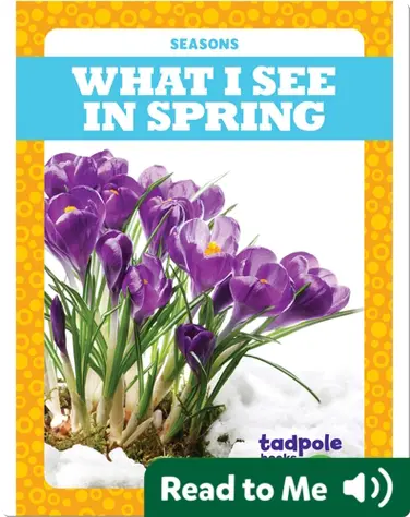 Seasons: What I See in Spring book