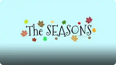 The Seasons book