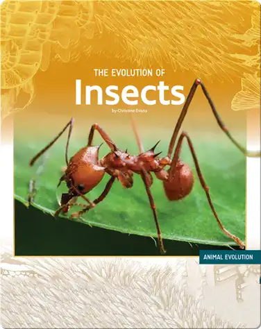 The Evolution of Insects book