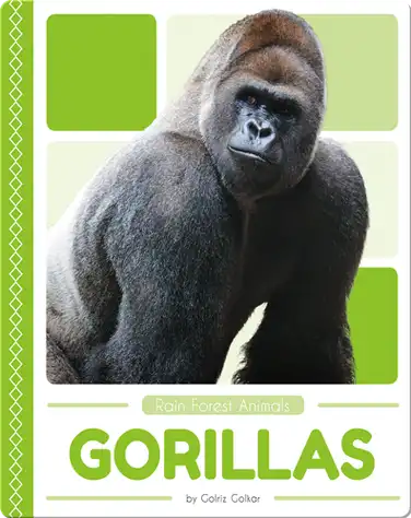 Rain Forest Animals: Gorillas book