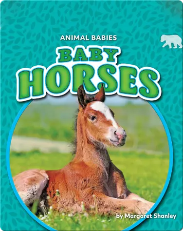 Animal Babies: Baby Horses book