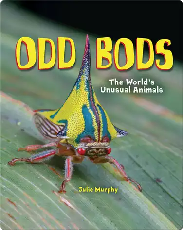 Odd Bods: The World's Unusual Animals book