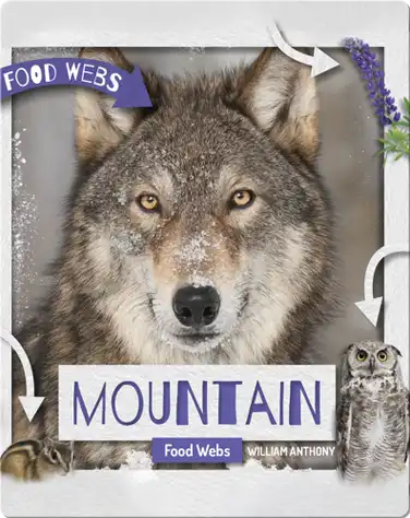 Mountain Food Webs book