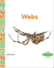 Animal Homes: Webs
