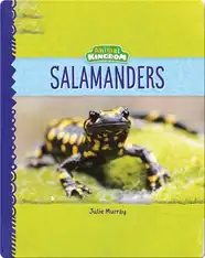Animal Kingdom: Salamanders