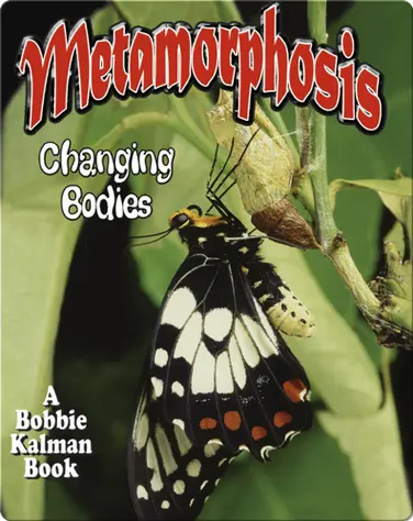 Metamorphosis: Changing Bodies book