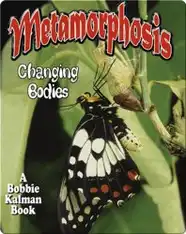 Metamorphosis: Changing Bodies