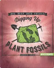 Digging Up Plant Fossils