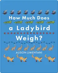 How Much Does a Ladybird Weigh?