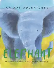 Elephant's Story