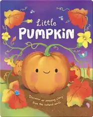 Little Pumpkin