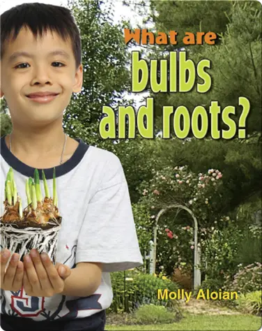 What Are Bulbs And Roots? book