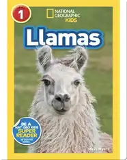 National Geographic Readers: Llamas