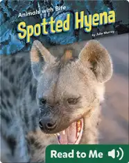 Animals with Bite: Spotted Hyena