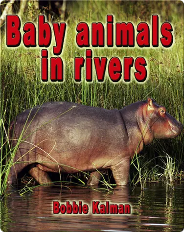 Baby Animals in Rivers book