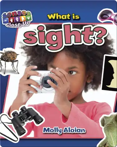 What is Sight? book