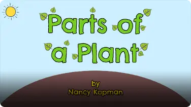 Parts Of A Plant book