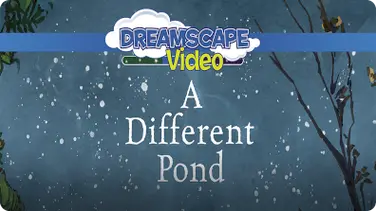 A Different Pond book