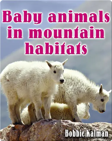 Baby Animals in Mountain Habitats book