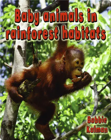 Baby Animals in Rainforest Habitats book