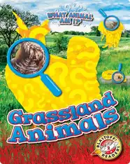 What Animal Am I?: Grassland Animals