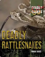 Deadly Snakes: Deadly Rattlesnakes
