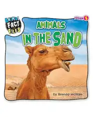 Animal Fact Files: Animals in the Sand