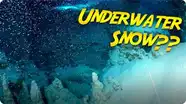 Jonathan Bird’s Blue World: Exploring a Snowy Underwater Cave In Belize!