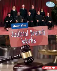 How the Judicial Branch Works