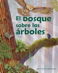 El bosque sobre los árboles