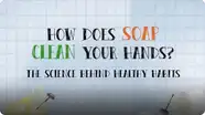 How Does Soap Clean Your Hands