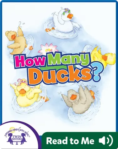 How Many Ducks? book