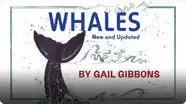 Whales