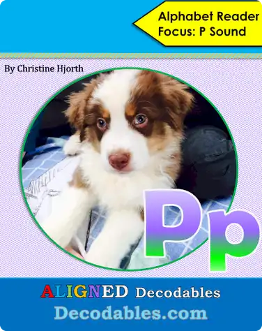 Pp Book book