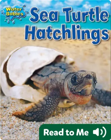 Sea Turtle Hatchlings book