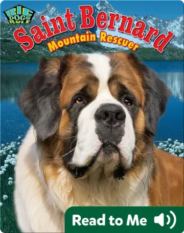 Saint Bernard: Mountain Rescuer book