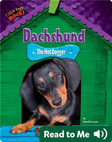 Dachshund: The Hot Dogger book