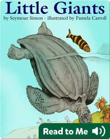 Little Giants book