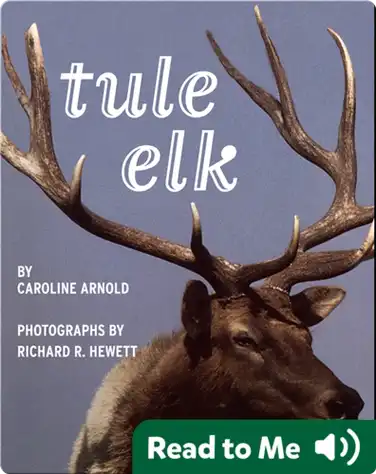 Tule Elk book
