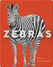 Zoo Animals: Zebras
