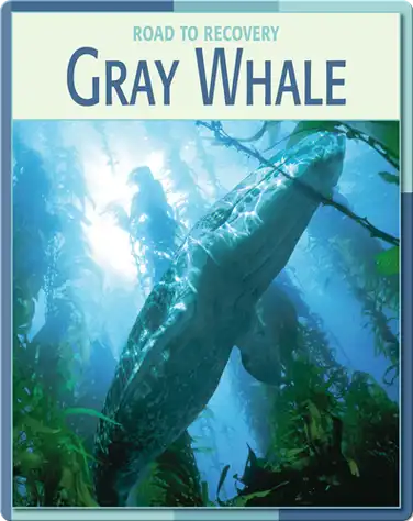 Road To Recovery: Gray Whale book