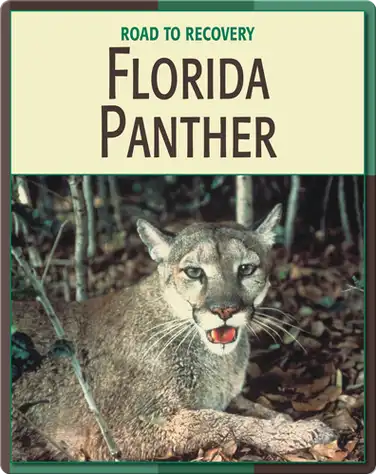 Road To Recovery: Florida Panther book