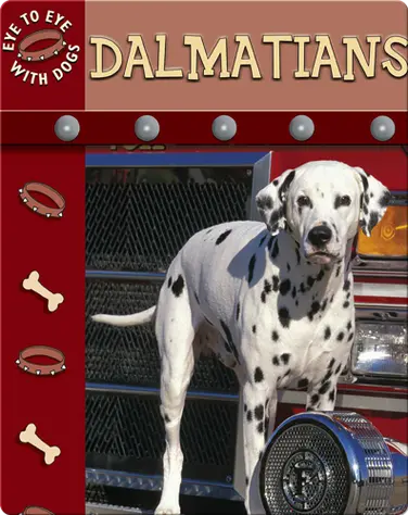 Eye To Eye With Dogs: Dalmatians book